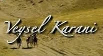 Veysel Karani - Film